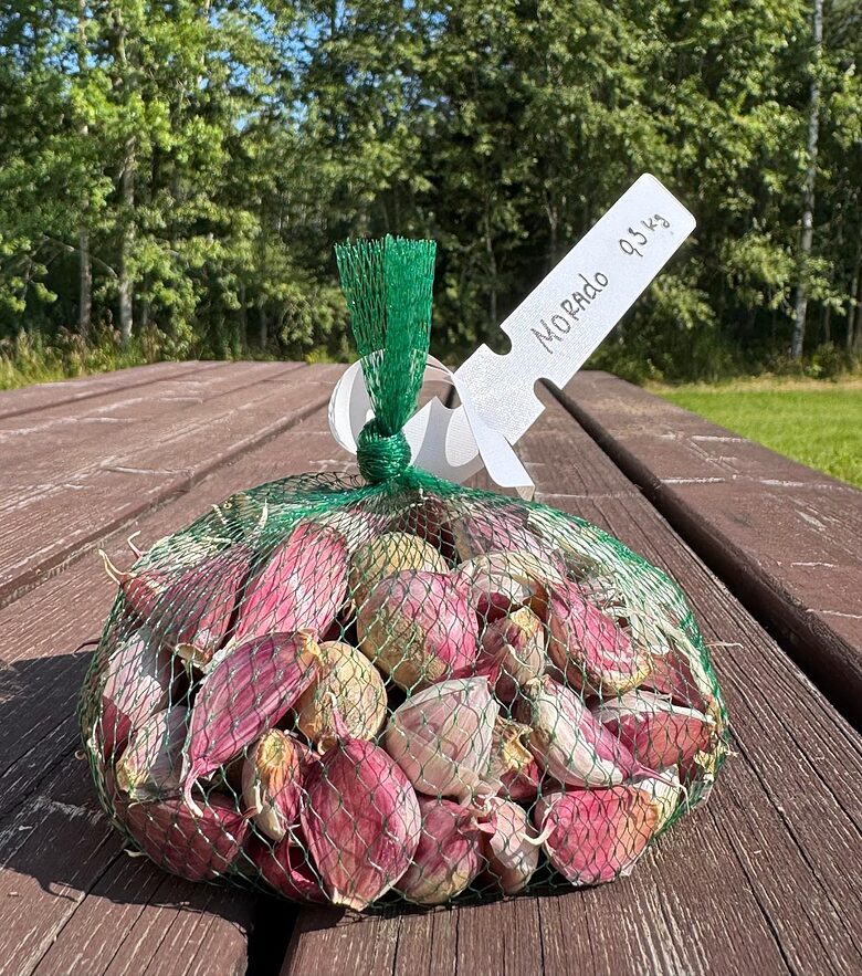 Ziemas/vasaras ķiploki "Morado" 0,3kg (2 ataudzējums, daivoti)