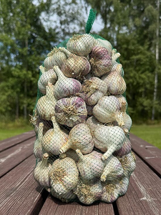 Ziemas ķiploki "ĻUBAŠA" 3kg, cena no