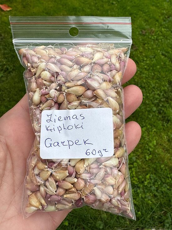Gaisa sēkla Ziemas ķiploki Garpek