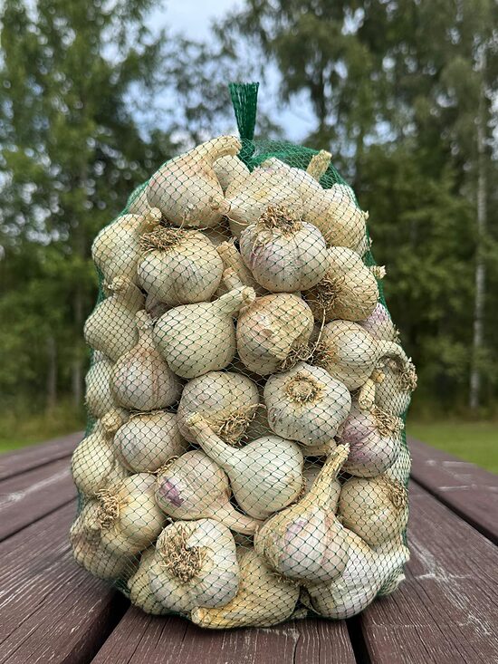 Ziemas ķiploki GULIVER 3kg 3-4cm