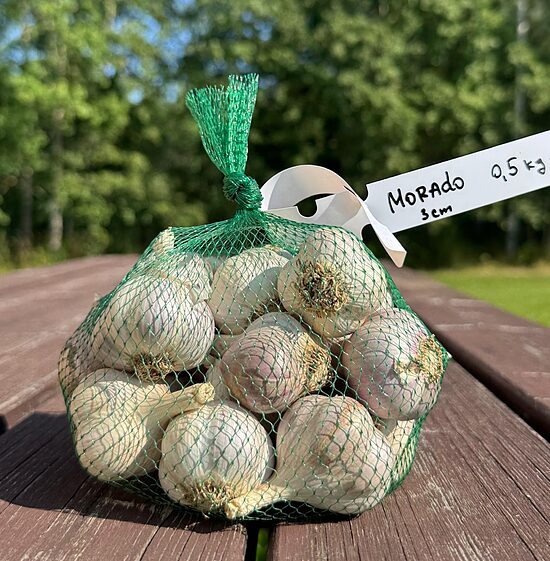 Ziemas/vasaras ķiploki "Morado" 0,5kg cena no 