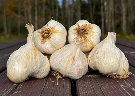 Ziemas ķiploki "THERMIDROME"