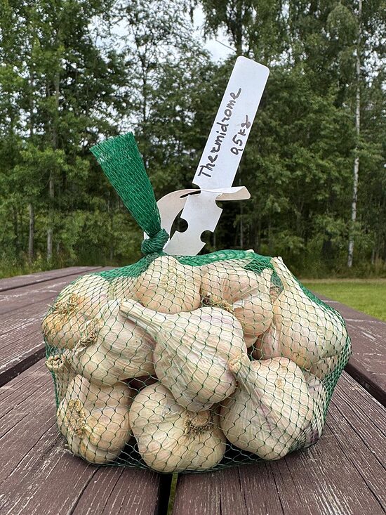 Ziemas ķiploki "Thermidrome" 3-4cm 0,5kg
