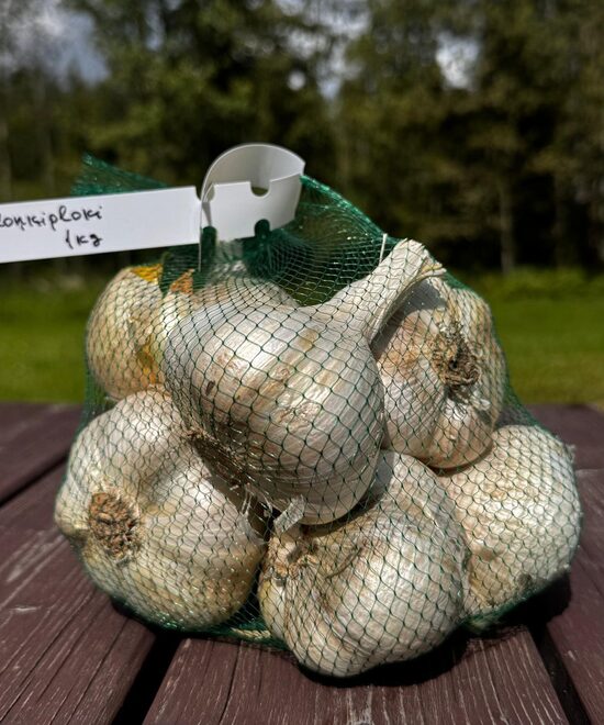 ELEPHANT GARLIC 1kg
