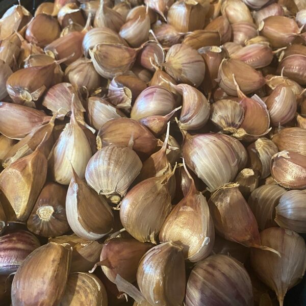 Ziemas ķiploki "Ļubaša"