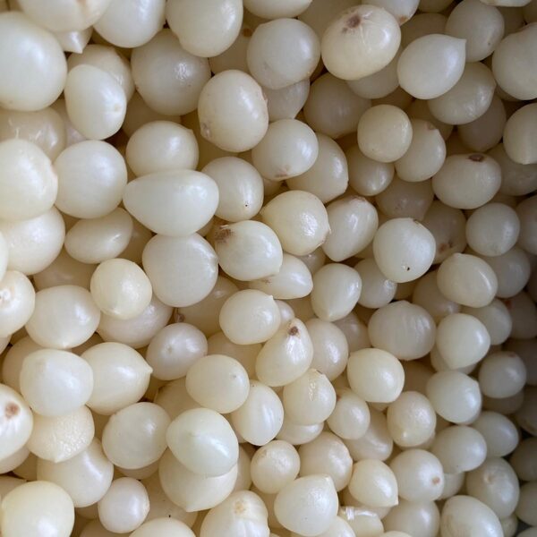 Ziloņķiploku sēkliņa pēc mizošanas