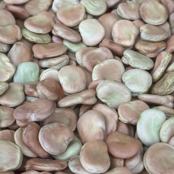 Cūku pupas "Rambos"