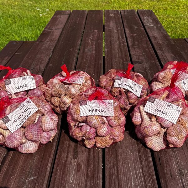 Vispopulārākais ķiploku komplekts