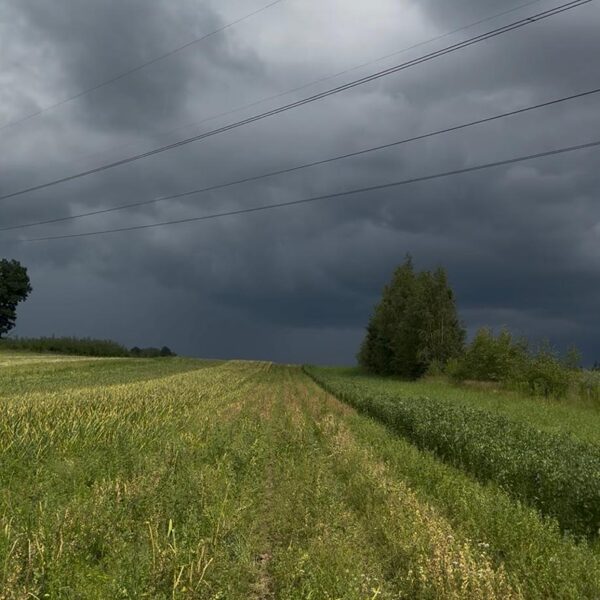 Ar uztraukumu gaidam krusu