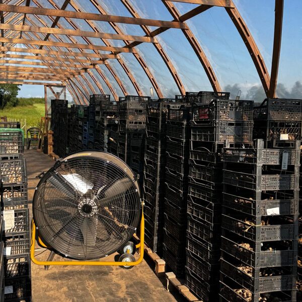 03.08.25 žāvēšana