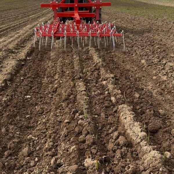 Pirmā rušināšana pavasarī