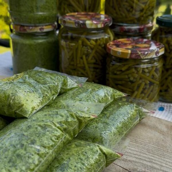 Dažādas zaptes no ķiploku ziedkātiem