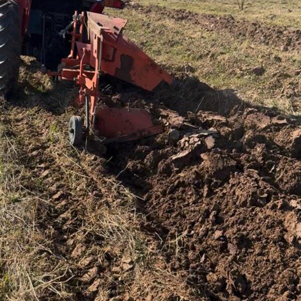 Aršanas darbi laukā, kur augs ķiploki 2025/26.gada sezonā