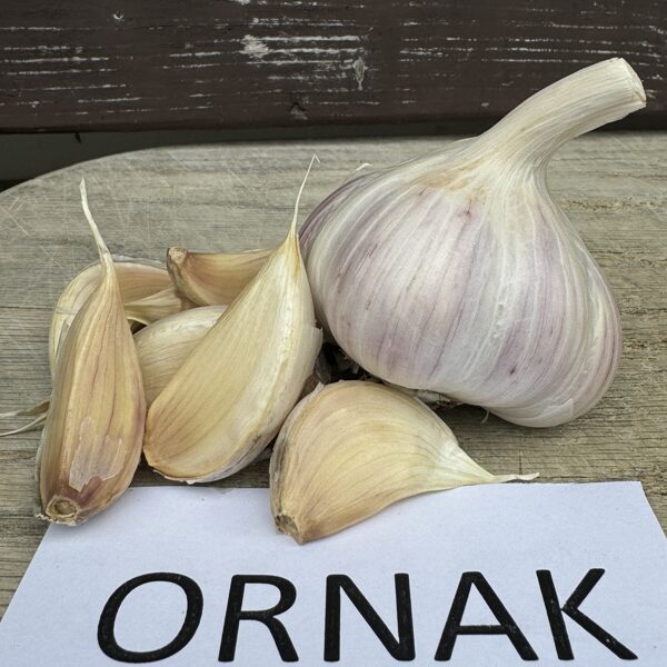 ORNAK