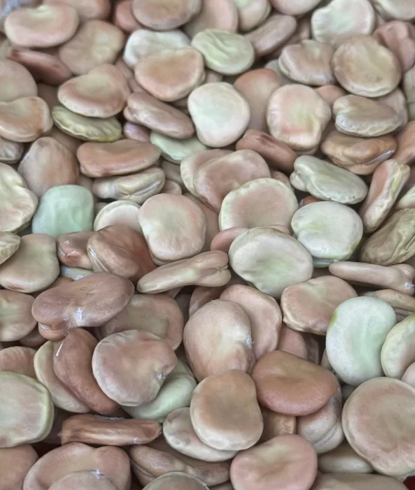 Cūku pupas "Rambos"