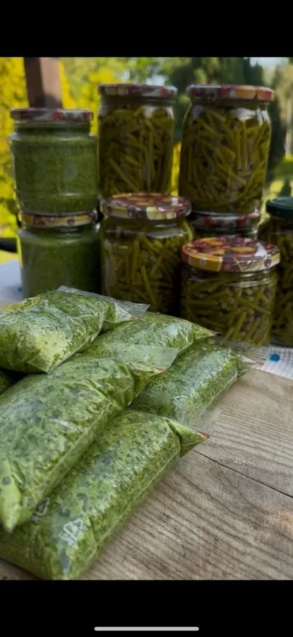 Dažādas zaptes no ķiploku ziedkātiem