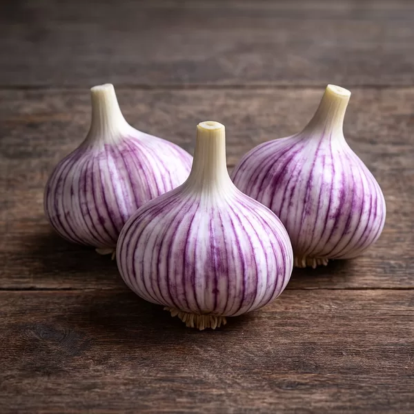 SIBIRIJAS VIOLETIE