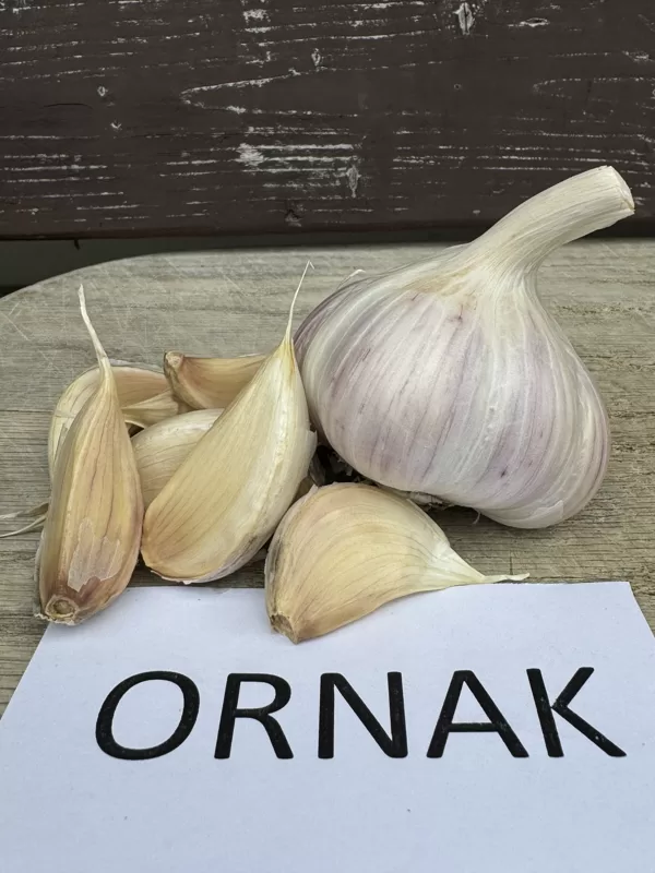 ORNAK