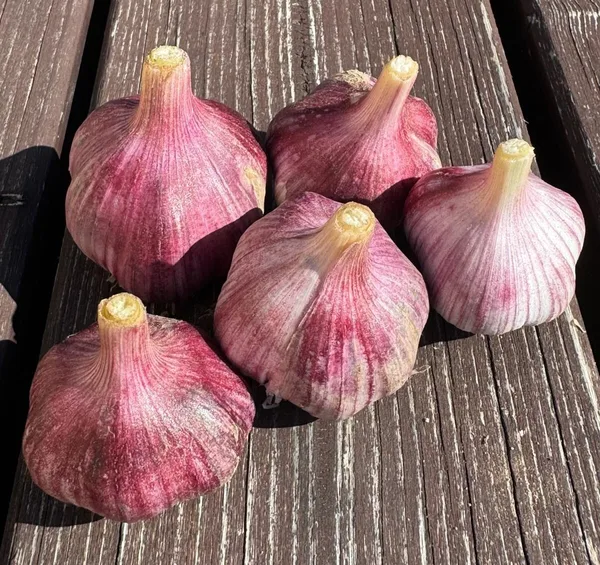 GARPEK